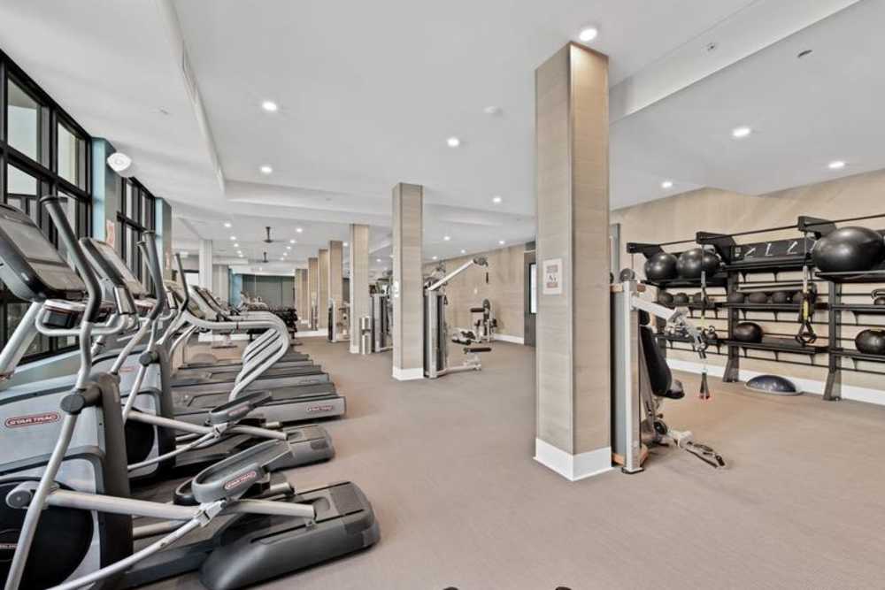 Three-Bedroom Luxury Apartments In Doral, FL - Palmera - Fitness Center With Nautilus And TRX Equipment, Weights, Ceiling Fan, And A TV