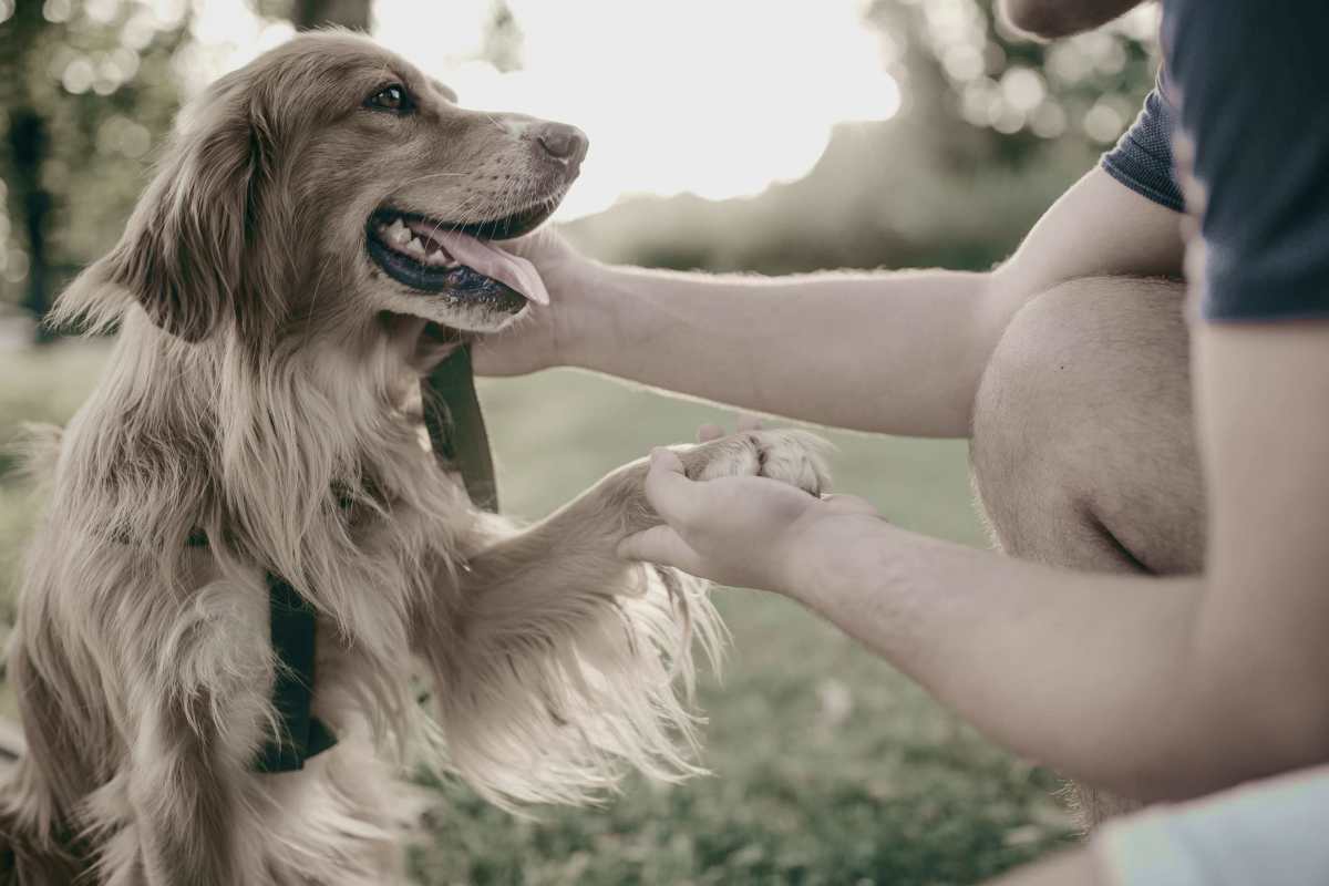 Residents with their dog at Palmera in Doral, Florida