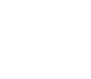 Facebook logo for Palmera in Doral, Florida