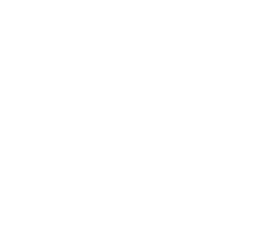 Instagram logo for Palmera in Doral, Florida